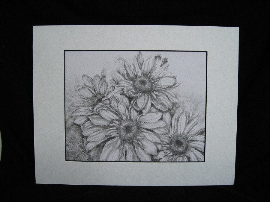 Daisies Original Drawing, Matted 11 x 14, Original Graphite Drawing, Black and White Art, Daisy Graphite Drawing, Daisy Wall Art
