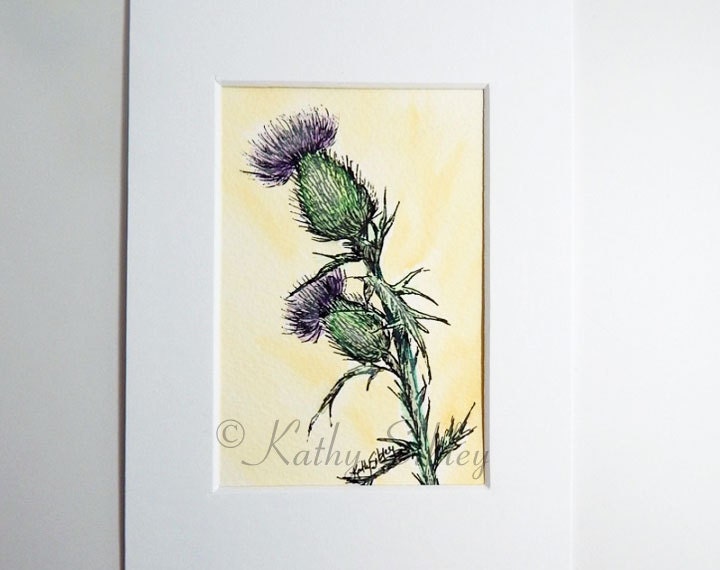 Thistle Pen Drawing, Original Drawing, Matted 5 x 7 inches, Pen and Ink Drawing, Botanical Drawing, Purple Thistle Drawing