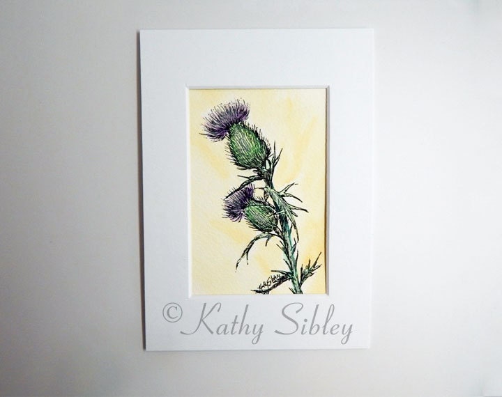 Thistle Pen Drawing, Original Drawing, Matted 5 x 7 inches, Pen and Ink Drawing, Botanical Drawing, Purple Thistle Drawing