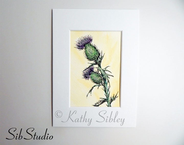 Thistle Pen Drawing, Original Drawing, Matted 5 x 7 inches, Pen and Ink Drawing, Botanical Drawing, Purple Thistle Drawing