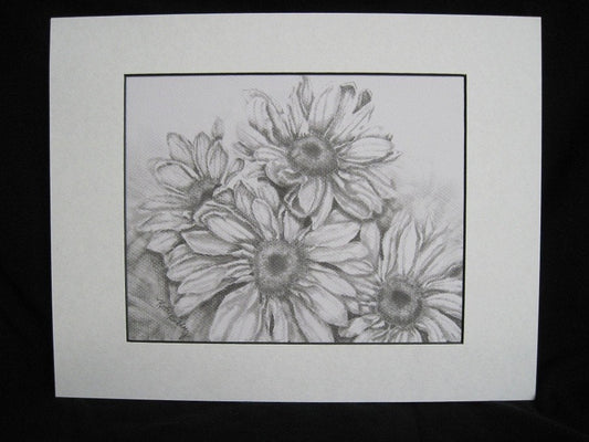 Daisies Original  Drawing,  Matted 11 x 14, Original Graphite  Drawing, Black and White Art, Daisy Graphite Drawing, Daisy Wall Art