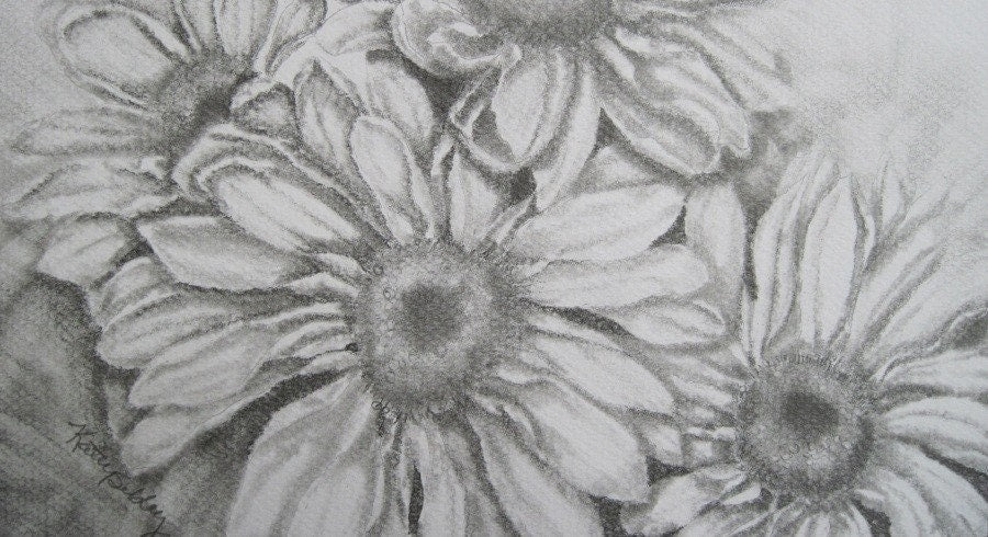 Daisies Original  Drawing,  Matted 11 x 14, Original Graphite  Drawing, Black and White Art, Daisy Graphite Drawing, Daisy Wall Art