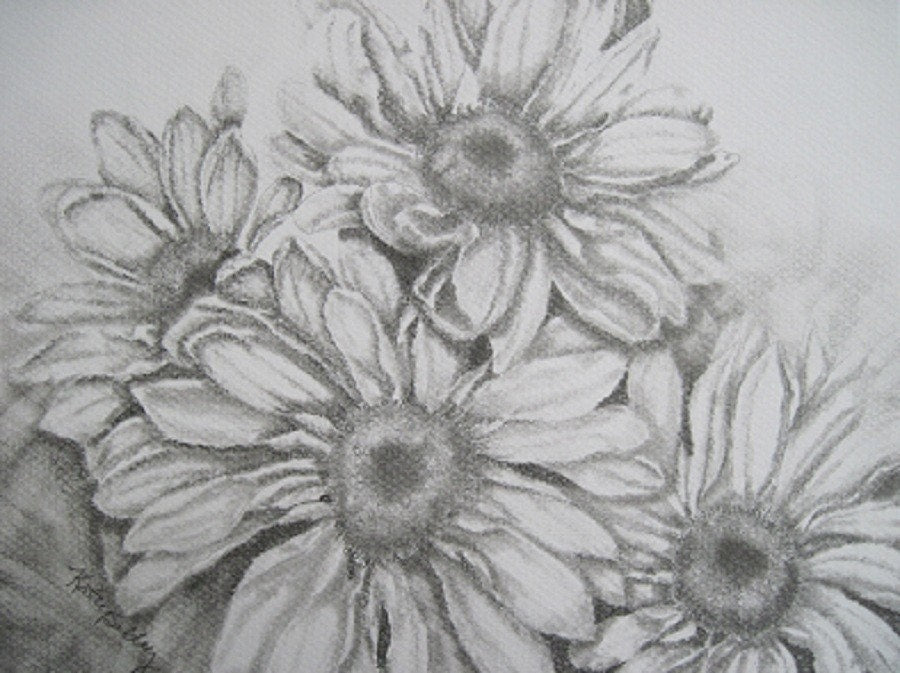 Daisies Original  Drawing,  Matted 11 x 14, Original Graphite  Drawing, Black and White Art, Daisy Graphite Drawing, Daisy Wall Art