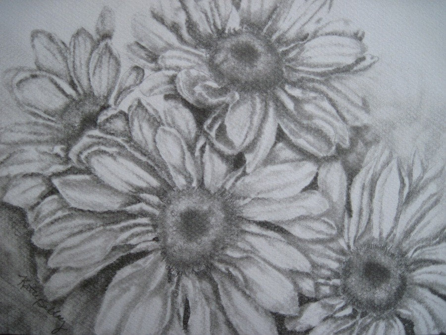 Daisies Original  Drawing,  Matted 11 x 14, Original Graphite  Drawing, Black and White Art, Daisy Graphite Drawing, Daisy Wall Art