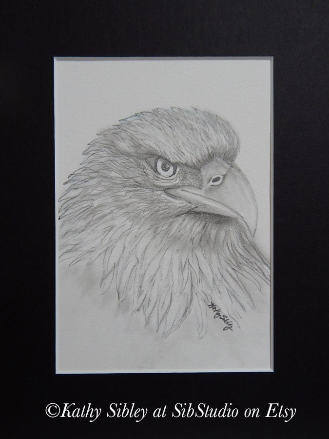 Eagle Graphite Drawing, Original Drawing, 5 x 7 ", Matted 8 x 10 ", Graphite Pencil Drawing, Eagle Portrait Art, Eagle Wall Art