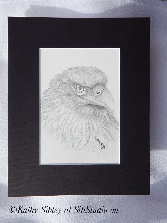 Eagle Graphite Drawing, Original Drawing, 5 x 7 ", Matted 8 x 10 ", Graphite Pencil Drawing, Eagle Portrait Art, Eagle Wall Art