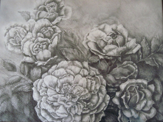 Roses Graphite Drawing, Framed Original Graphite Drawing, 17  x 14 ", Matted & Framed, Black and White Roses Art, Rose Illustration Wall Art