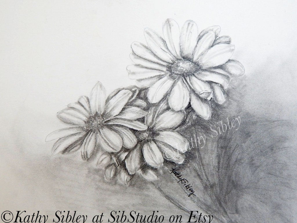 Daisies Graphite Drawing, Matted 11 x 14, Original Graphite Drawing on Vellum Paper, Daisy Wall Art, Daisy Home Decor, Daisy Original Art