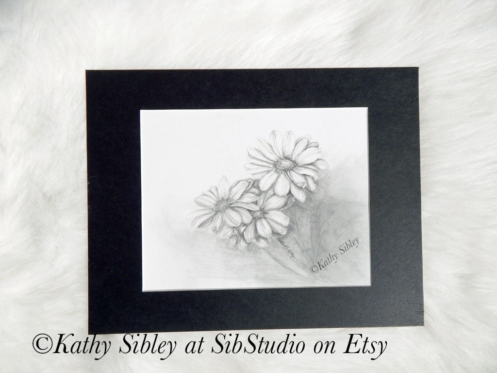 Daisies Graphite Drawing, Matted 11 x 14, Original Graphite Drawing on Vellum Paper, Daisy Wall Art, Daisy Home Decor, Daisy Original Art