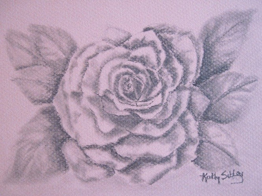 Rose Original Drawing, Original Graphite Drawing,  Matted 9 x 12 inches, Graphite on Rosy Pink  Drawing Paper, Rose Blossom