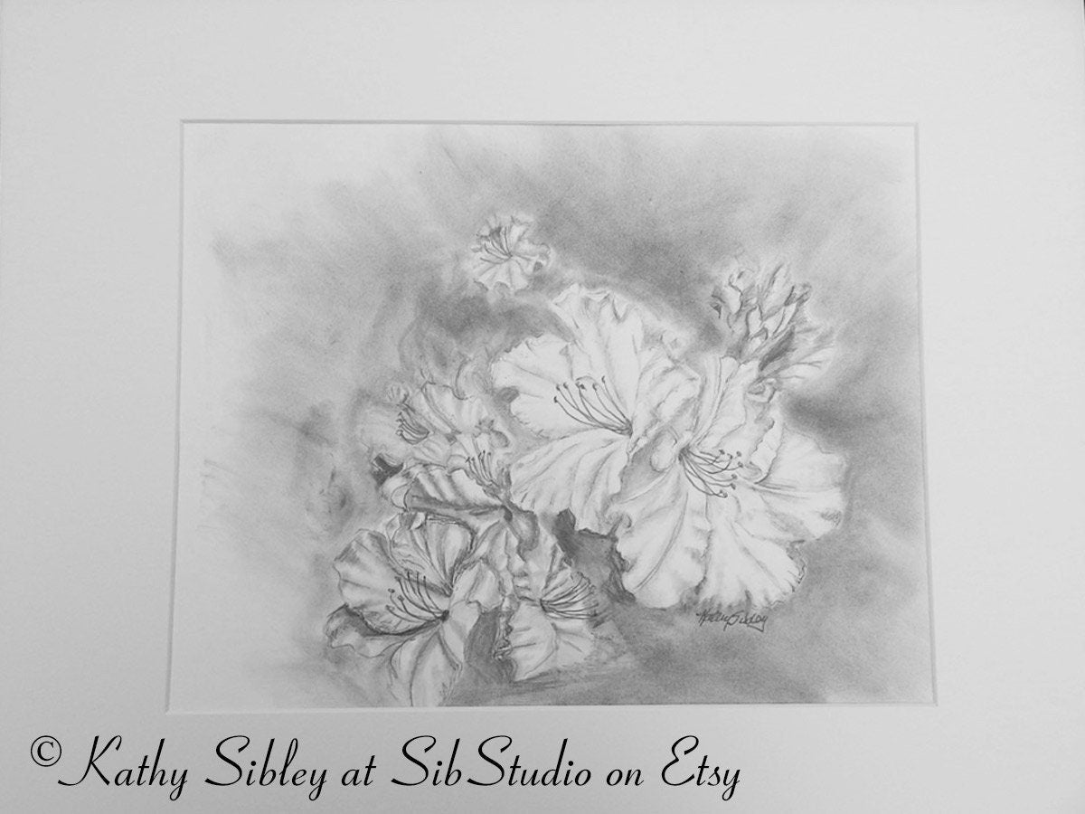 Azaleas Graphite Drawing, Matted 16 x 20, Original Graphite Drawing on Vellum Paper, Azalea Wall Art, Azaleas Home Decor, Azalea Pencil Art