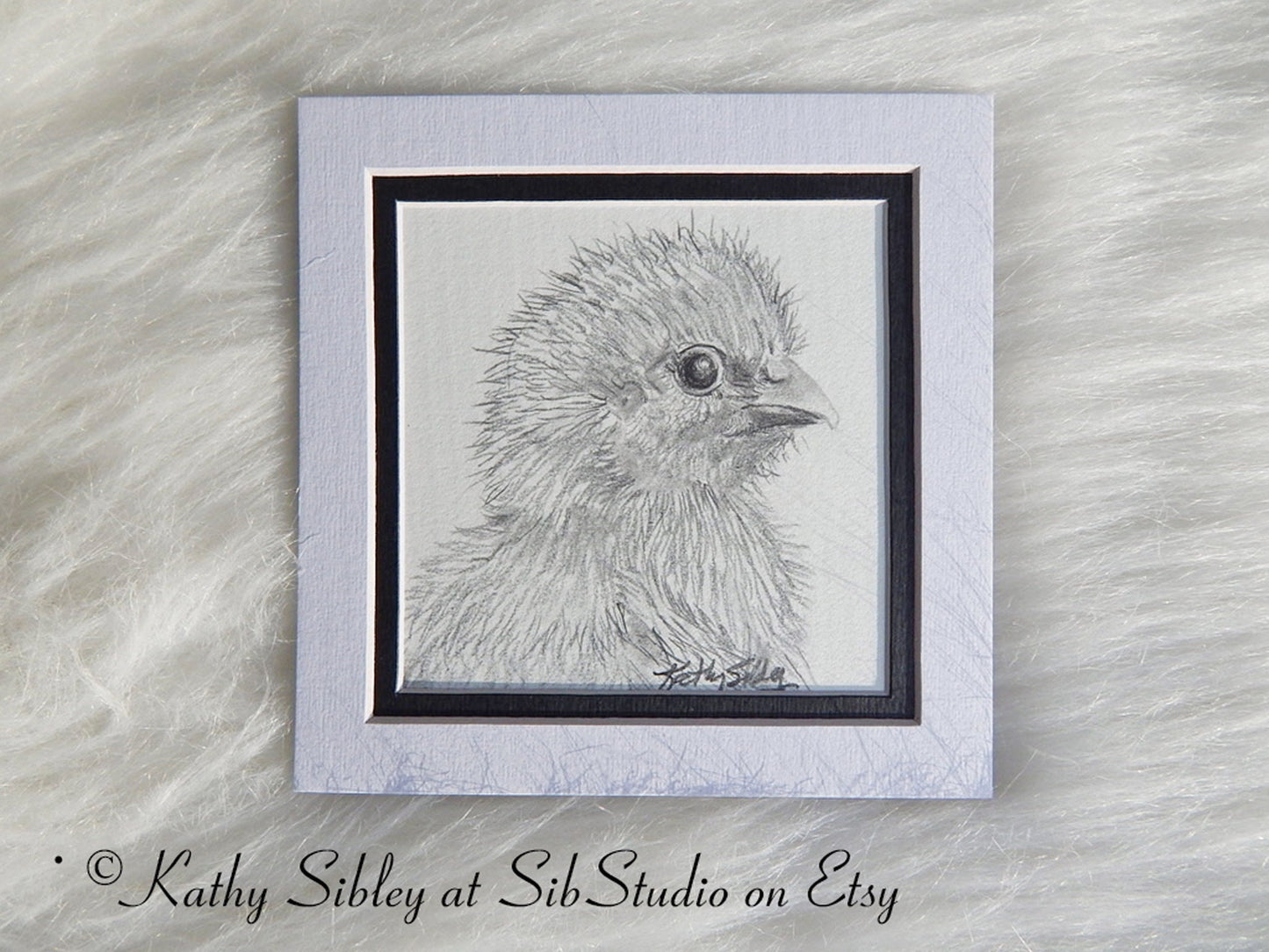 Baby Chick Drawing, Original Drawing, Matted 5 x 5 inches, Chick Graphite Drawing, Chick Pencil Art, Chick Portrait, Baby Chick Wall Art