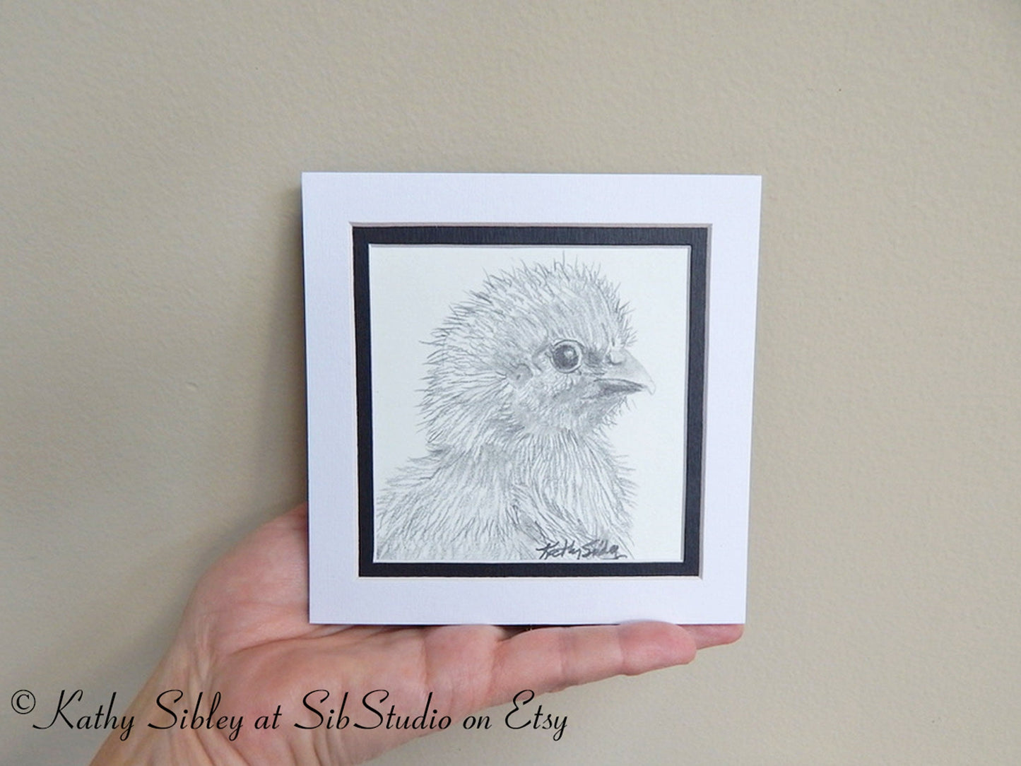 Baby Chick Drawing, Original Drawing, Matted 5 x 5 inches, Chick Graphite Drawing, Chick Pencil Art, Chick Portrait, Baby Chick Wall Art