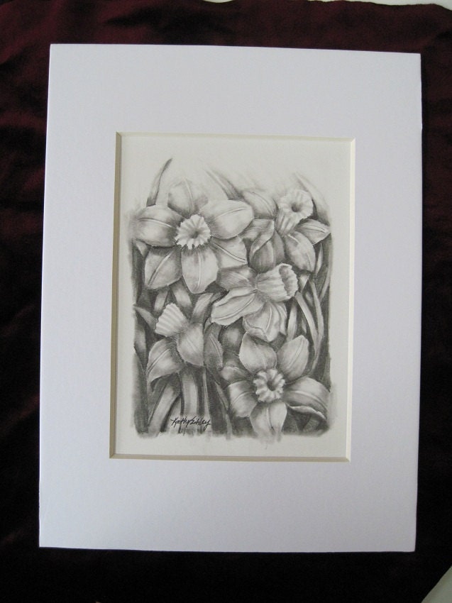 Daffodils Graphite Drawing, 5 x 7 inches, Matted, Original Graphite Drawing, Spring Daffodils, Black and White Daffodils Art, Daffodil Art