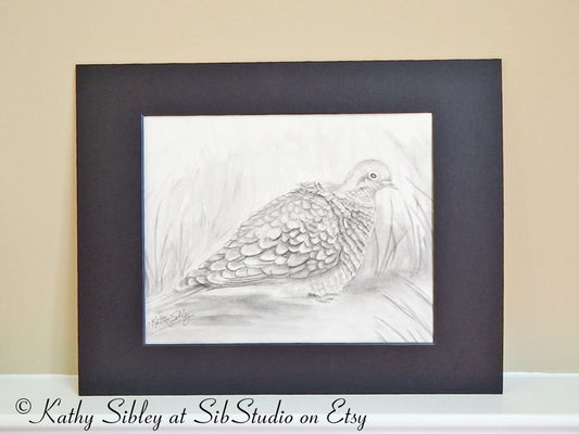 Mourning Dove Art, Original Graphite Drawing, Matted 11" x 14", Baby Mourning Dove Drawing, Graphite  Dove Art, Black & White Dove Wall Art