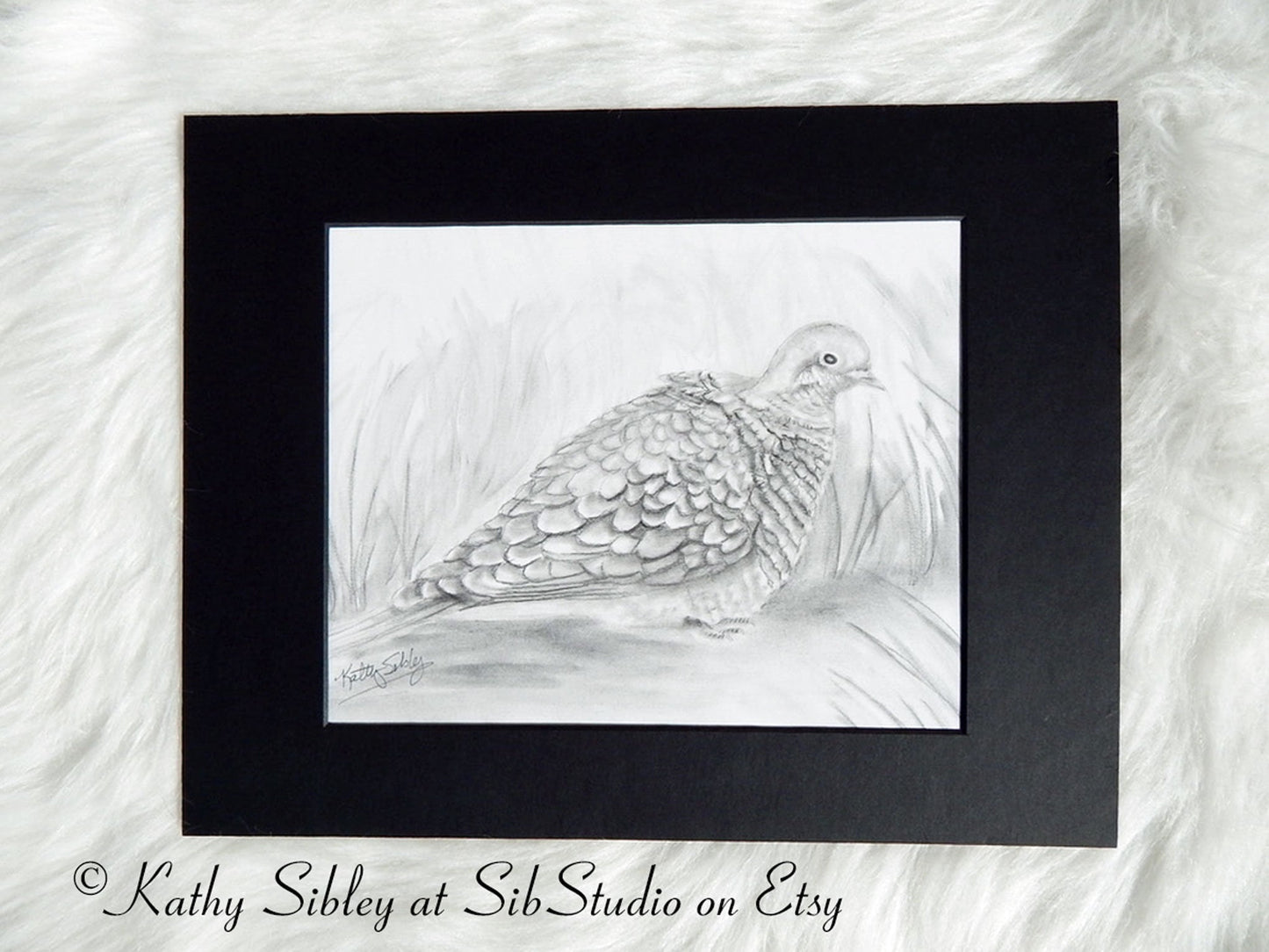 Mourning Dove Art, Original Graphite Drawing, Matted 11" x 14", Baby Mourning Dove Drawing, Graphite  Dove Art, Black & White Dove Wall Art