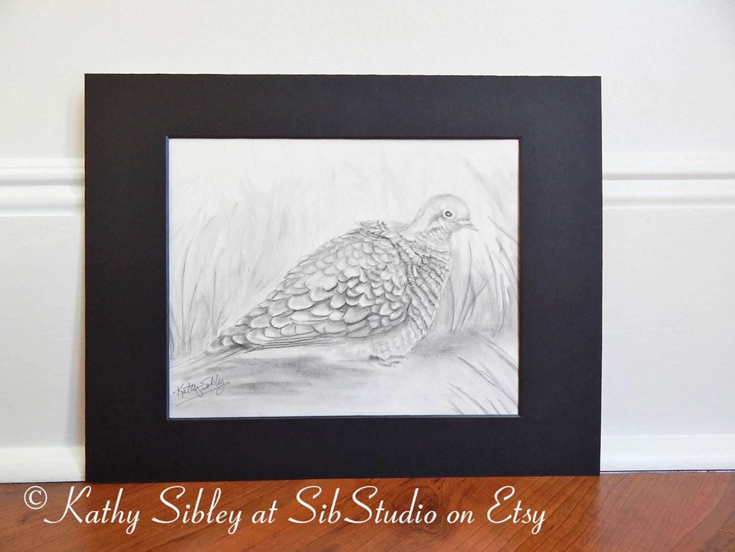 Mourning Dove Art, Original Graphite Drawing, Matted 11" x 14", Baby Mourning Dove Drawing, Graphite  Dove Art, Black & White Dove Wall Art