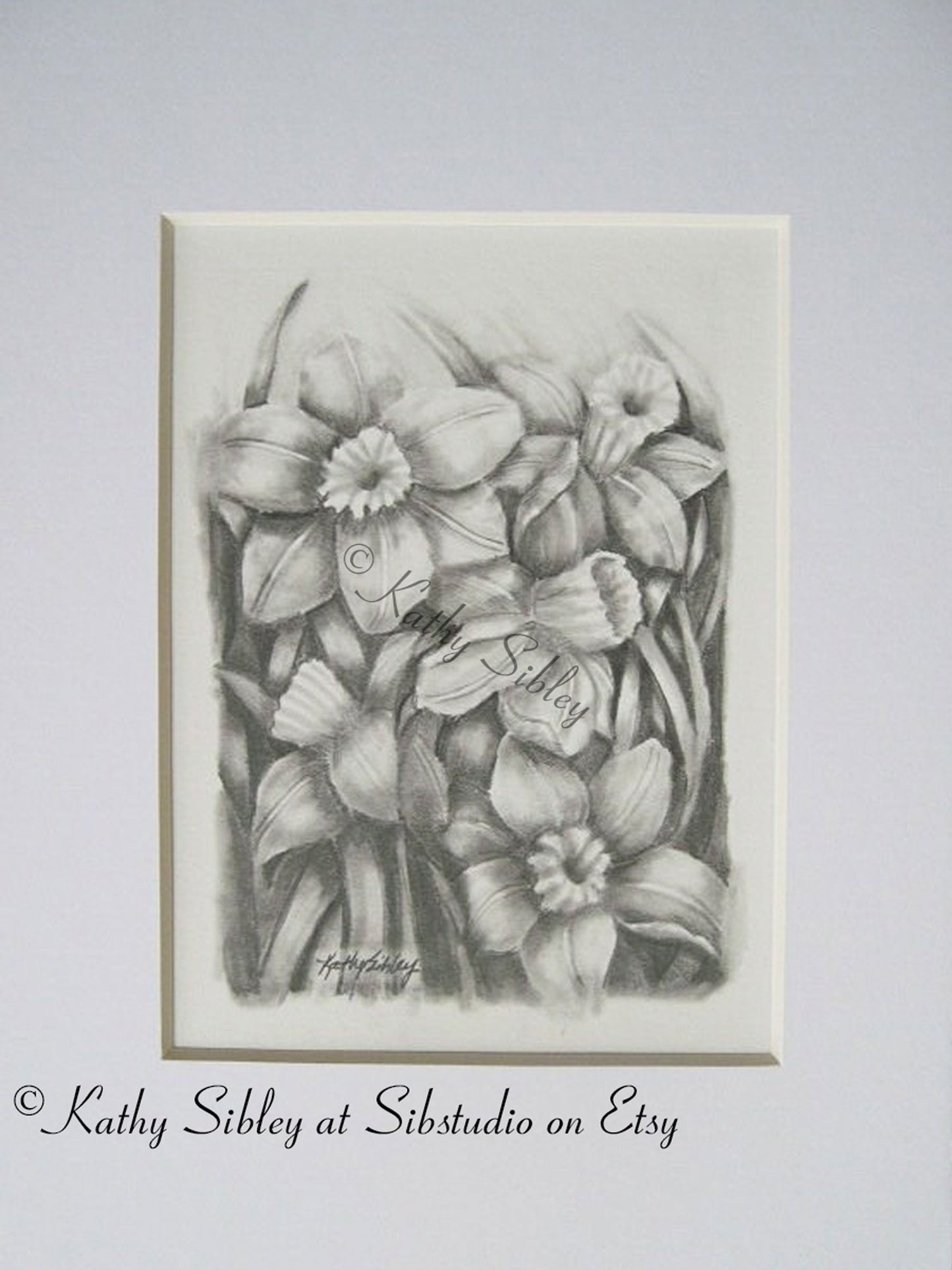 Daffodils Graphite Drawing, 5 x 7 inches, Matted, Original Graphite Drawing, Spring Daffodils, Black and White Daffodils Art, Daffodil Art