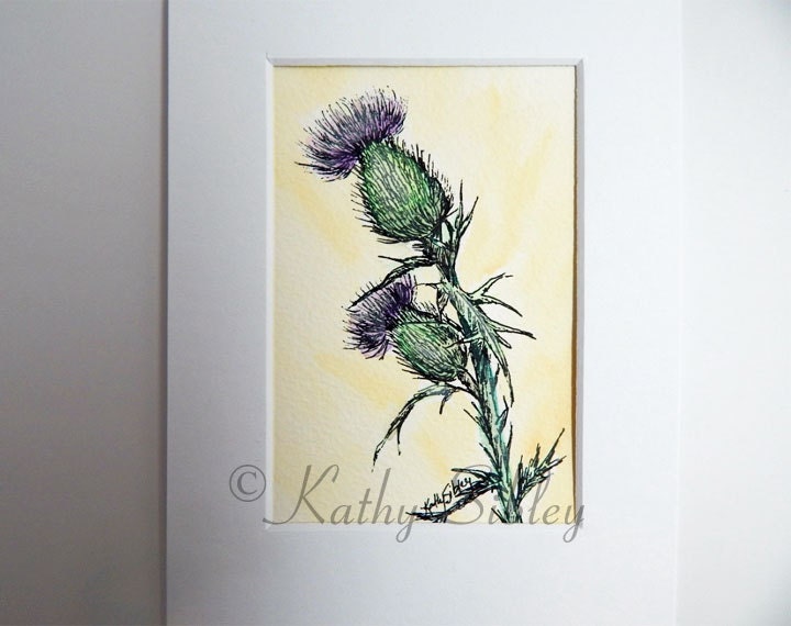 Thistle Pen Drawing, Original Drawing, Matted 5 x 7 inches, Pen and Ink Drawing, Botanical Drawing, Purple Thistle Drawing