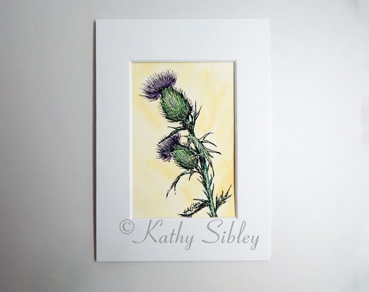 Thistle Pen Drawing, Original Drawing, Matted 5 x 7 inches, Pen and Ink Drawing, Botanical Drawing, Purple Thistle Drawing